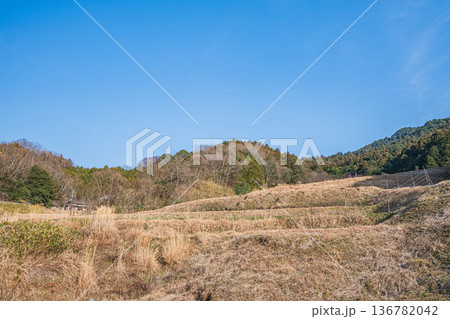 明日香村の景勝地　阪田の棚田　奈良県 136782042