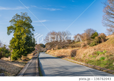 明日香村の里山風景　県道155号線　奈良県 136782043
