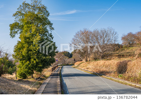 明日香村の里山風景 県道155号線 奈良県 明日香村の里山風景 県道155号線 奈良県 136782044