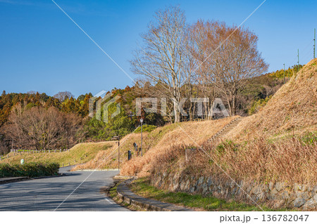 明日香村の里山風景 県道155号線 奈良県 明日香村の里山風景 県道155号線 奈良県 136782047