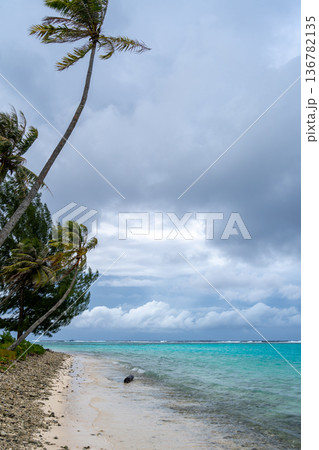 Coral garden beach with turquoise waters and palm trees on Huahine, French Polynesia Coral garden beach with turquoise waters and palm trees on Huahine, French Polynesia 136782135