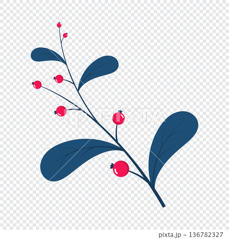 Red berries. Winter plant. Winter branches and leaves. Winter floral elements. Holiday decoration. Vector illustration Red berries. Winter plant. Winter branches and leaves. Winter floral elements. Holiday decoration. Vector illustration 136782327