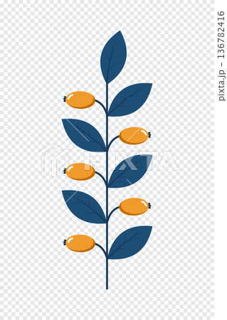 Wild berries. Winter plant. Winter branches and leaves. Winter floral elements. Holiday decoration. Vector illustration Wild berries. Winter plant. Winter branches and leaves. Winter floral elements. Holiday decoration. Vector illustration 136782416
