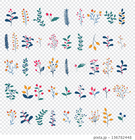 Set of wild and garden berries with branches and leaves. Winter botanical vector set. Winter floral elements. Holiday decoration and design Set of wild and garden berries with branches and leaves. Winter botanical vector set. Winter floral elements. Holiday decoration and design 136782448