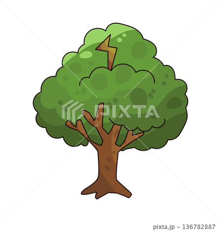 Illustration of tree  136782887