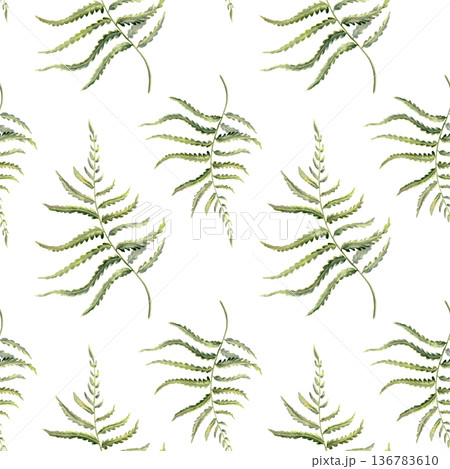 Delicate fern leaves in seamless pattern,echoing enchanted forests,Celtic heritage,untouched nature.Soft watercolor greens for eco branding,ancestral storytelling,mythical woodland themes Delicate fern leaves in seamless pattern,echoing enchanted forests,Celtic heritage,untouched nature.Soft watercolor greens for eco branding,ancestral storytelling,mythical woodland themes 136783610