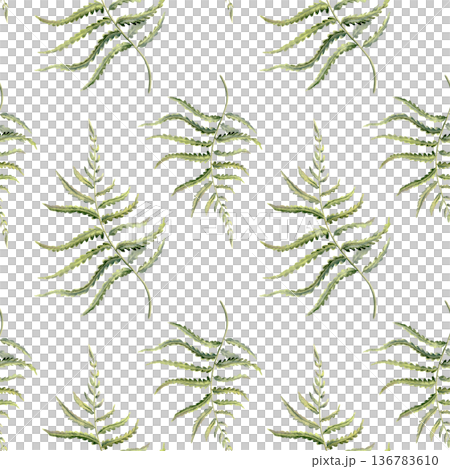 Delicate fern leaves in seamless pattern,echoing enchanted forests,Celtic heritage,untouched nature.Soft watercolor greens for eco branding,ancestral storytelling,mythical woodland themes Delicate fern leaves in seamless pattern,echoing enchanted forests,Celtic heritage,untouched nature.Soft watercolor greens for eco branding,ancestral storytelling,mythical woodland themes 136783610
