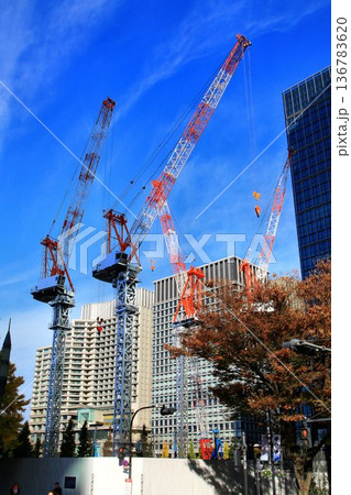 紅葉に彩られた『行幸通り』を望む… 【タワークレーン】 136783620