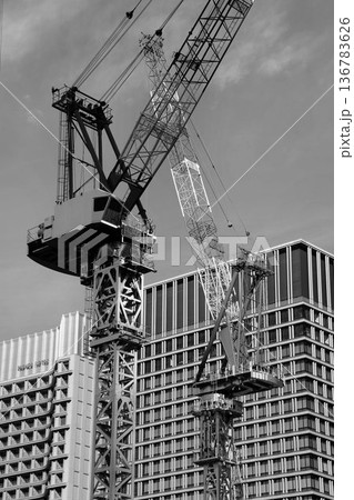 紅葉に彩られた『行幸通り』を望む… 【タワークレーン】 136783626