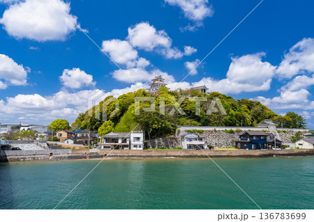 《佐賀県》唐津城・新緑シーズン 136783699