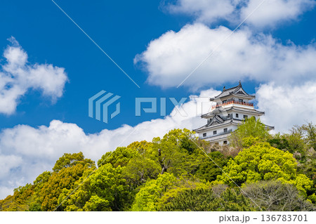 《佐賀県》唐津城・新緑シーズン 136783701