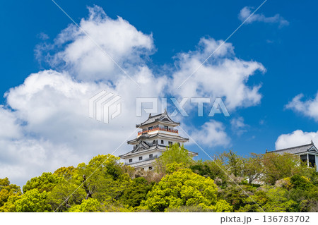 《佐賀県》唐津城・新緑シーズン 136783702