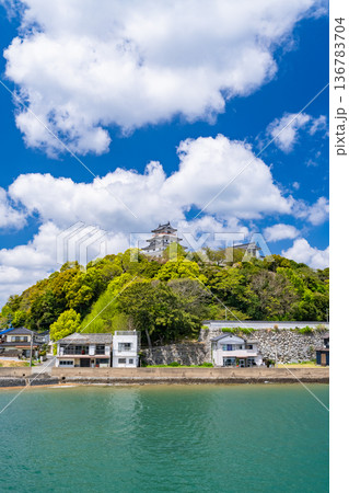《佐賀県》唐津城・新緑シーズン 《佐賀県》唐津城・新緑シーズン 136783704