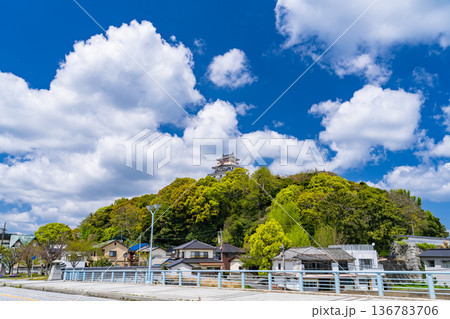 《佐賀県》唐津城・新緑シーズン 136783706