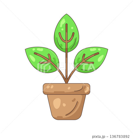 Illustration of plant pot  136783892