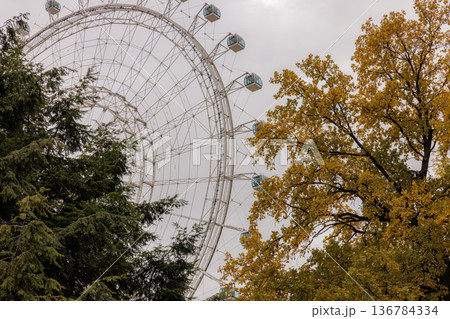 Colorful autumn leaves contrast with the towering ferris wheel on a cloudy day in the city park Colorful autumn leaves contrast with the towering ferris wheel on a cloudy day in the city park 136784334
