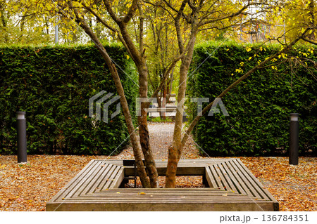 Nature blends with modern design in a serene urban park in autumn Nature blends with modern design in a serene urban park in autumn 136784351