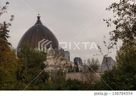 Beautiful dome rising above trees in autumn, showcasing architecture against a cloudy sky 136784354