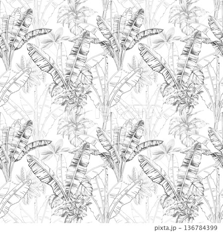 Seamless pattern with palm leaves on a dark background. Isolated illustration for botanical branding, travel brochures, organic products, and natural cosmetics. 136784399