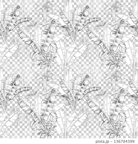 Seamless pattern with palm leaves on a dark background. Isolated illustration for botanical branding, travel brochures, organic products, and natural cosmetics. 136784399