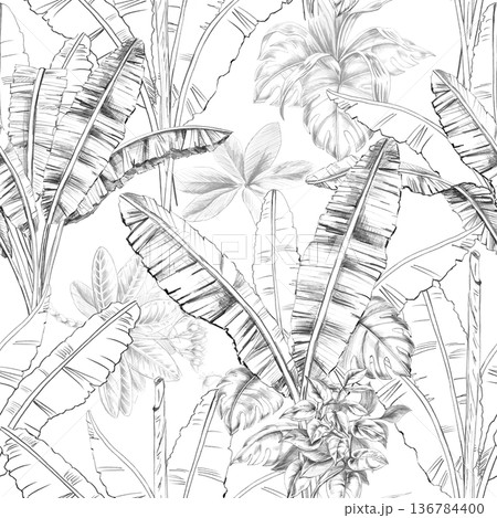 Seamless pattern with palm leaves. Isolated illustration for botanical branding, travel brochures, organic products, and natural cosmetics. 136784400
