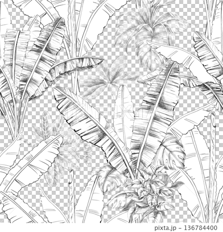 Seamless pattern with palm leaves. Isolated illustration for botanical branding, travel brochures, organic products, and natural cosmetics. 136784400