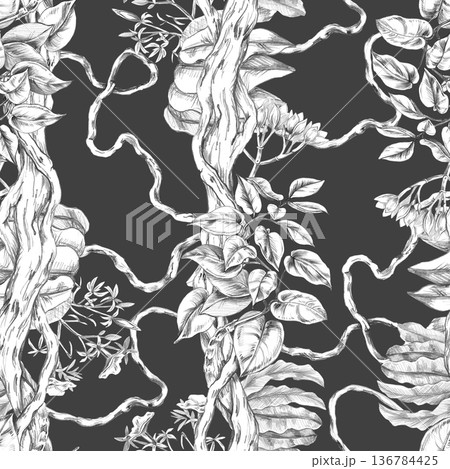 A seamless pattern of intertwining vines, lush jungle foliage, and delicate flowers, drawn in pencil on a dark background. Isolated illustration for textile design, book covers, stationery. A seamless pattern of intertwining vines, lush jungle foliage, and delicate flowers, drawn in pencil on a dark background. Isolated illustration for textile design, book covers, stationery. 136784425