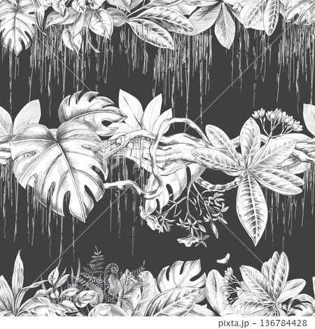 A seamless pattern depicting a tropical forest with climbing plants and varied foliage on a dark background. Isolated illustration for botanical branding, travel brochures, organic products. A seamless pattern depicting a tropical forest with climbing plants and varied foliage on a dark background. Isolated illustration for botanical branding, travel brochures, organic products. 136784428