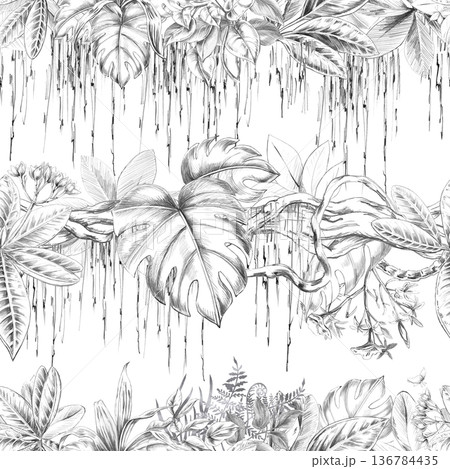 A seamless pattern featuring a tropical forest with climbing vines and varied foliage. Isolated illustration for botanical branding, travel brochures, organic products, and natural cosmetics. A seamless pattern featuring a tropical forest with climbing vines and varied foliage. Isolated illustration for botanical branding, travel brochures, organic products, and natural cosmetics. 136784435