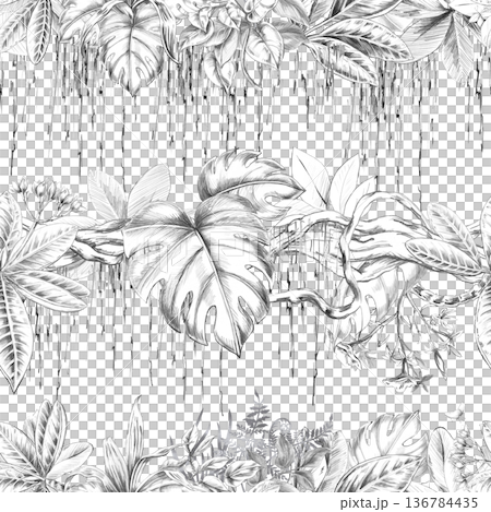 A seamless pattern featuring a tropical forest with climbing vines and varied foliage. Isolated illustration for botanical branding, travel brochures, organic products, and natural cosmetics. A seamless pattern featuring a tropical forest with climbing vines and varied foliage. Isolated illustration for botanical branding, travel brochures, organic products, and natural cosmetics. 136784435