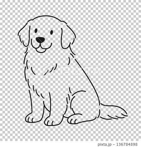 黃金獵犬坐著 黃金獵犬坐著 136784898