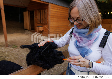 Woman feeds a friendly black llama while enjoying a sunny day at the animal sanctuary with wooden structures nearby Woman feeds a friendly black llama while enjoying a sunny day at the animal sanctuary with wooden structures nearby 136784927