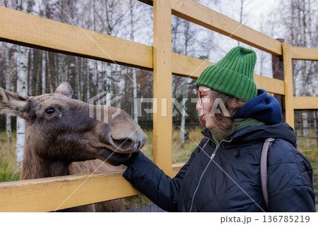 Woman interacts with a friendly moose at a cozy animal sanctuary in autumn Woman interacts with a friendly moose at a cozy animal sanctuary in autumn 136785219