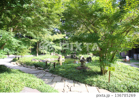 新座市睡足軒の森 136785269