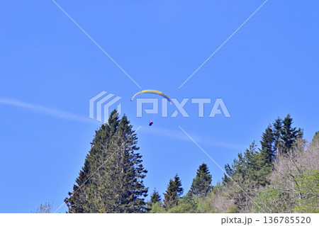 ヴォスリゾート 青空を飛ぶパラグライダー 136785520