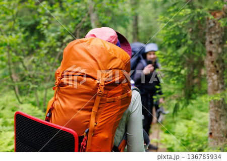 Exploring lush green trails with friends during a sunny day in a peaceful forest adventure 136785934