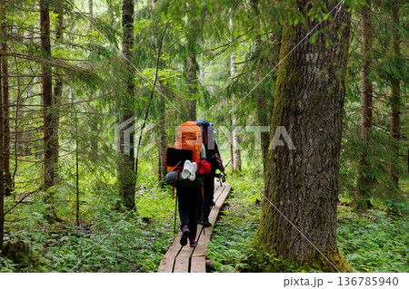 Exploring the lush wilderness on a wooden trail with heavy backpacks in the heart of nature Exploring the lush wilderness on a wooden trail with heavy backpacks in the heart of nature 136785940