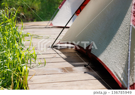 Camping tents on a wooden platform surrounded by lush green grass on a sunny day in the wilderness Camping tents on a wooden platform surrounded by lush green grass on a sunny day in the wilderness 136785949