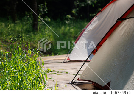 Camping adventure near peaceful forest with vibrant tents set up on wooden platform in summer sunshine Camping adventure near peaceful forest with vibrant tents set up on wooden platform in summer sunshine 136785950
