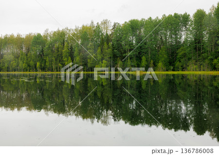 Reflective serenity of a calm lake surrounded by lush green trees on an overcast day Reflective serenity of a calm lake surrounded by lush green trees on an overcast day 136786008
