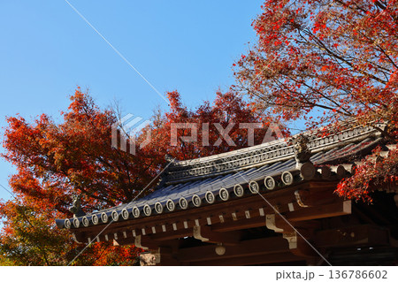 traditional temple in Chome Honmachi near Tofuku ji 136786602