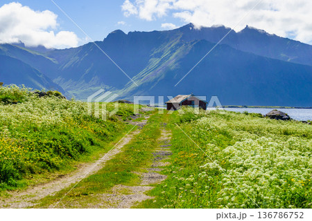 Landscape at Hovsund village Lofoten Norway 136786752