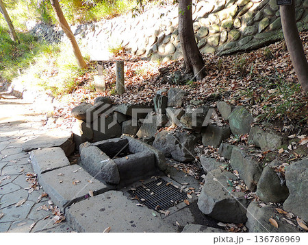 哲学堂公園 先天泉 哲学堂公園 先天泉 136786969