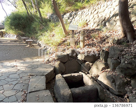 哲学堂公園 先天泉 哲学堂公園 先天泉 136786971