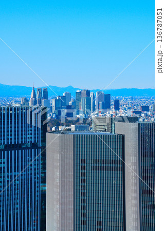都市風景 東京 新宿ビル群 都市風景 東京 新宿ビル群 136787051