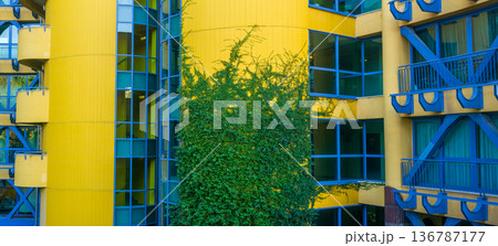 Exterior of modern building with blue and yellow wall and green ivy 136787177