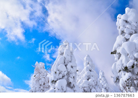 冬　樹氷　山形蔵王 136787663