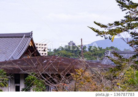 松江藩主 菩提寺 月照寺 松江藩の七代松平治郷公 墓所から見えた松江城 松江藩主 菩提寺 月照寺 松江藩の七代松平治郷公 墓所から見えた松江城 136787783