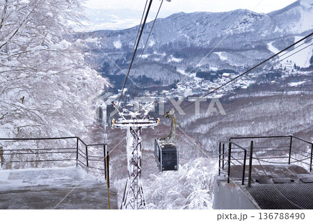 冬　山形　蔵王ロープウェイ　樹氷　 136788490
