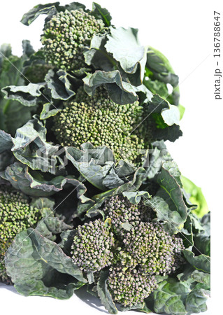 菜の花（アレッタ） 136788647